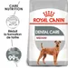 Royal Canin Medium Dental Care pour chien