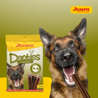 Josera Denties with turkey & apple, sachet de 7 sticks. Texte visible : grain free, net toothmark apple. Chien tenant un stick dans la gueule. Marque Josera en haut à droite.