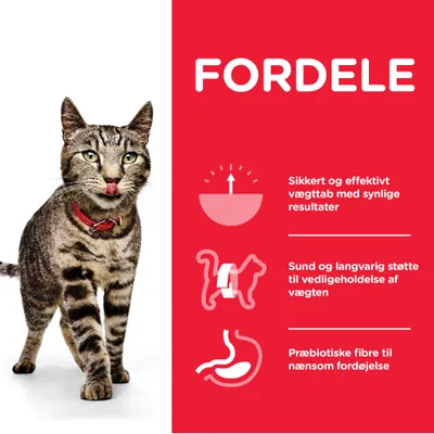 FORDELE: Sikkert og effektivt vægttab med synlige resultater. Sund og langvarig støtte til vedligeholdelse af vægten. Præbiotiske fibre til nænsom fordøjelse.