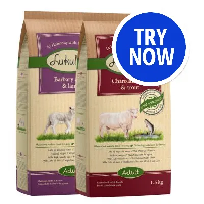 Two bags of adult pet food, one labelled Barbary duck and lamb, the other Charolais beef and trout, with a blue 'Try Now' button in the top right corner.