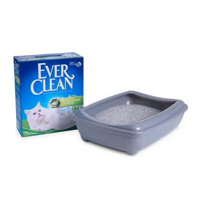 Συσκευασία Ever Clean με ορατό κείμενο 'Extra Strong Clumping', δίπλα σε γκρι πλαστική λεκάνη γάτας γεμάτη άμμο. Χωρητικότητα συσκευασίας: 10L.