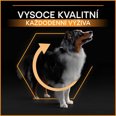 Text: VYSOCE KVALITNÍ KAŽDODENNÍ VÝŽIVA. Pes stojící v oranžovém šestiúhelníku s šipkou kolem těla.