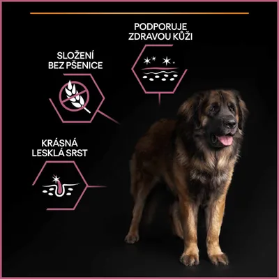 Veľký pes, text v češtine: Složení bez pšenice, Podporuje zdravou kůži, Krásná lesklá srst. Grafické ikony znázorňujúce benefity produktu.