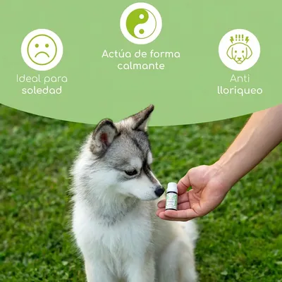 Wolfsbacher Natur Flores de Bach para mascotas Wolfsbacher Natur Flores de Bach para mascotas
