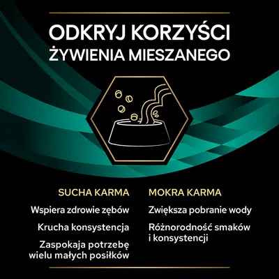Odkryj korzyści żywienia mieszanego: sucha karma – wspiera zdrowie zębów, krucha konsystencja, wiele małych posiłków; mokra karma – zwiększa pobranie wody, różnorodność smaków i konsystencji.