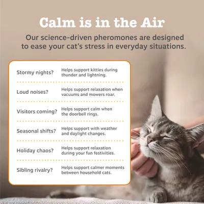 Zesty Paws Cat Calming Diffuser Kit Orchid Mist - 30g