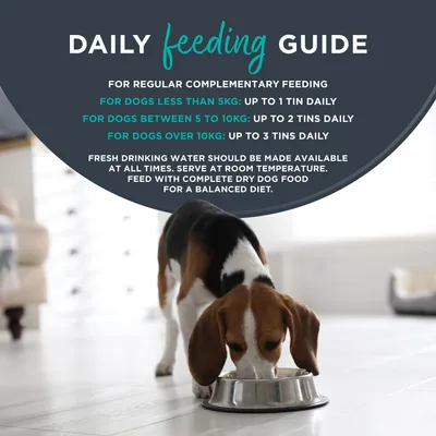 Encore Dose Mix u juhi 8 x 156 g