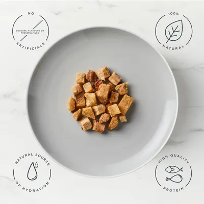 Encore Cat Treats with Tuna Fillet - 10g Encore Cat Treats with Tuna Fillet - 10g
