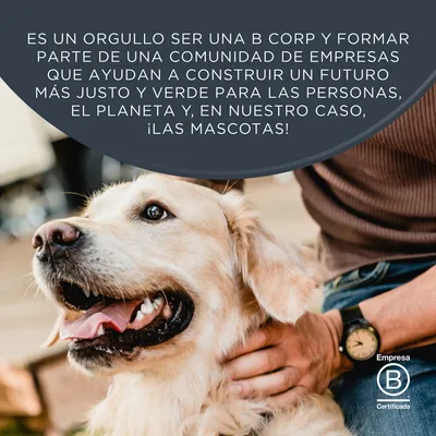 Encore en latas 12 x 156 g comida húmeda para perros