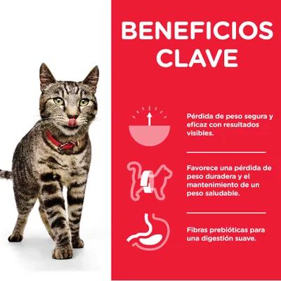 Beneficios clave: pérdida de peso segura y eficaz, favorece el mantenimiento de un peso saludable, fibras prebióticas para una digestión suave. Texto en español.