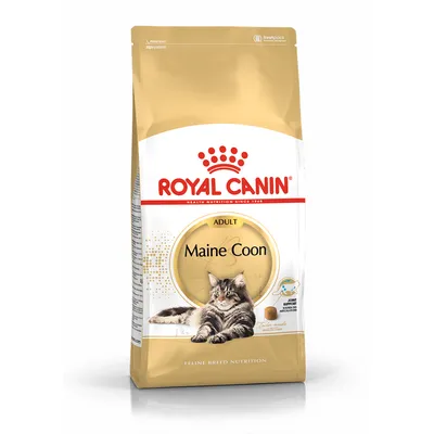 Zak Royal Canin Adult Maine Coon kattenvoer, afbeelding van een Maine Coon kat op de verpakking, zichtbaar: Joint Support icoon en tekst 'Feline Breed Nutrition'.