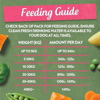 Feeding guide table showing daily food amounts by weight: up to 5kg, up to 340g; 5-10kg, 340-525g; 10-20kg, 525-890g; 20-30kg, 890-1200g; 30-40kg, 1200-1495g; 40kg+, 1495g.