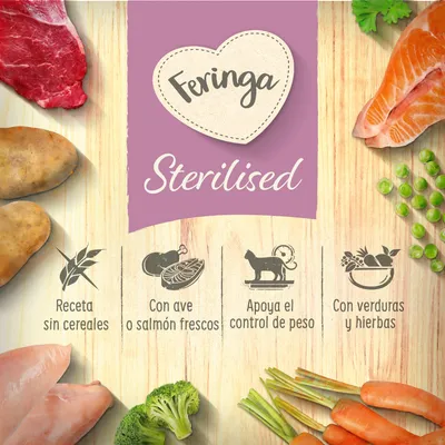 Feringa Adult Sterilised ave Feringa Adult Sterilised ave