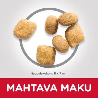 Nappulakoko n. 11 x 7 mm. Teksti: MAHTAVA MAKU. Kuvassa useita ruskeita nappuloita valkoisella taustalla.
