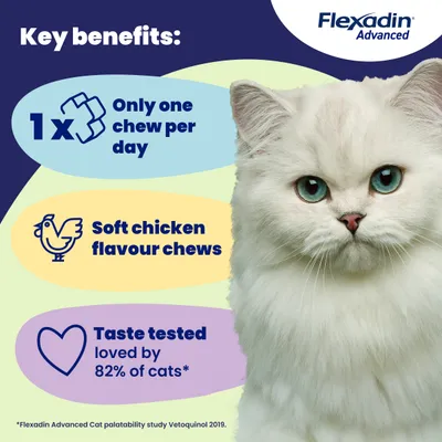 Flexadin Advanced Joint Care Supplement for Cats - 30 Chews Flexadin Advanced Joint Care Supplement for Cats - 30 Chews