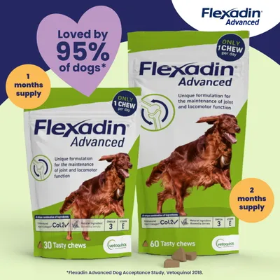 Flexadin Advanced Joint Care Supplement for Dogs - 30 Chews
