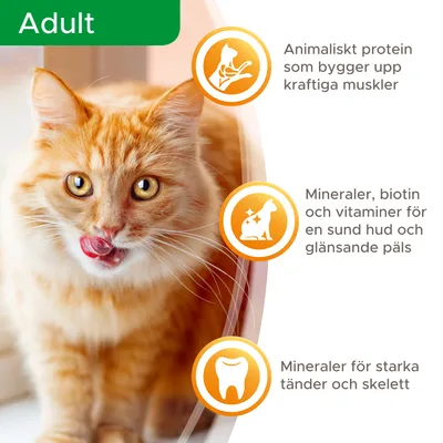 Adult. Animaliskt protein som bygger upp kraftiga muskler. Mineraler, biotin och vitaminer för en sund hud och glänsande päls. Mineraler för starka tänder och skelett.