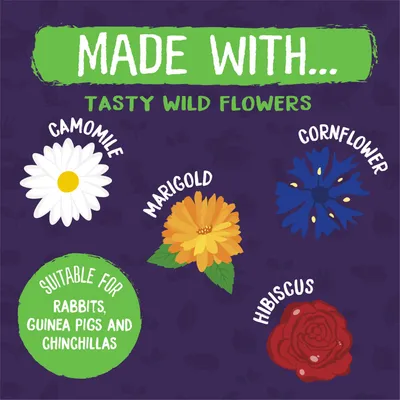 Burgess Excel Nature Snacks Wildflower Forage - 75g