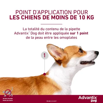 Advantix® très petit chien jusqu'à 4 kg