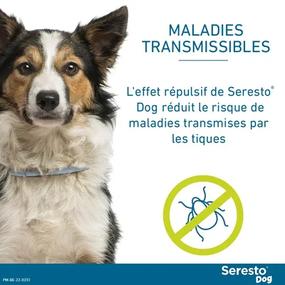 Collier antiparasitaire Seresto® pour grand chien