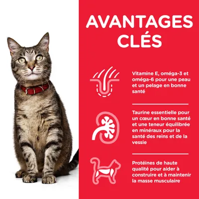 Avantages clés : vitamine E, oméga-3 et oméga-6 pour la peau et le pelage, taurine pour le cœur et les reins, protéines de haute qualité pour la masse musculaire. Chat tigré avec collier rouge.