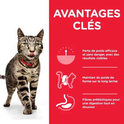 Avantages clés : perte de poids efficace et sans danger, maintien du poids de forme sur le long terme, fibres prébiotiques pour une digestion tout en douceur.