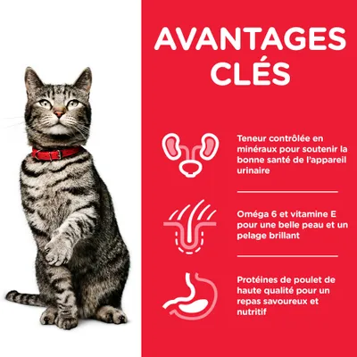 AVANTAGES CLÉS : Teneur contrôlée en minéraux pour l’appareil urinaire, oméga 6 et vitamine E pour la peau et le pelage, protéines de poulet de haute qualité pour un repas savoureux et nutritif.