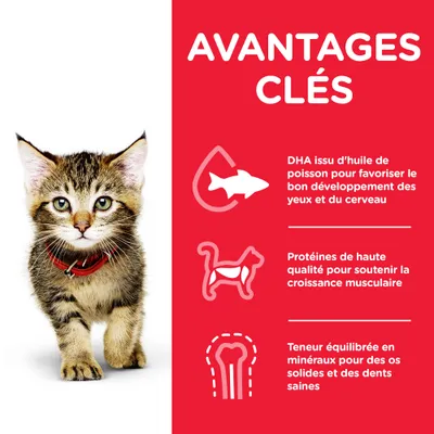 AVANTAGES CLÉS : DHA issu d’huile de poisson pour le développement des yeux et du cerveau, protéines de haute qualité pour la croissance musculaire, minéraux pour os et dents sains.