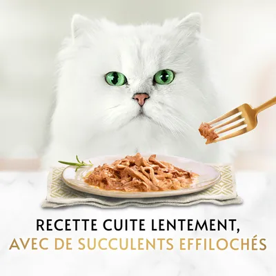 Recette cuite lentement, avec de succulents effilochés. Texte visible sous une assiette de nourriture pour chat devant un chat blanc aux yeux verts.