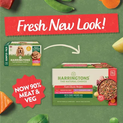 Packaging update for Harringtons food, showing old and new boxes with 'Fresh New Look!' and 'Now 90% meat & veg' highlighted. Key recipes: beef, lamb, salmon, turkey.