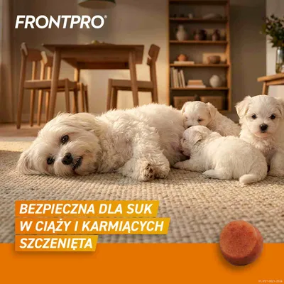 FRONTPRO® tabletki na pchły i kleszcze, dla psów od 2 do 4 kg