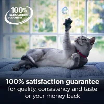 100% satisfaction guarantee for quality, consistency and taste or your money back. Tekst på engelsk.