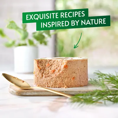 Text reads: Exquisite recipes inspired by nature. Text appears above a portion of wet pet food with visible carrot pieces on a wooden board and a gold spoon.