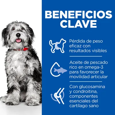 Beneficios clave: pérdida de peso eficaz, aceite de pescado rico en omega-3 para la movilidad articular, con glucosamina y condroitina para el cartílago sano. Texto en español.