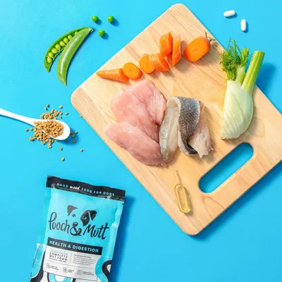 Ingredients including raw fish, chicken, carrot, fennel, peas, seeds, a capsule and a sachet of Pooch & Mutt Health & Digestion wet food displayed on a blue background.