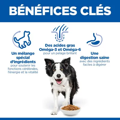 Principaux avantages : mélange spécial d'ingrédients pour la fonction cérébrale, l'énergie et la vitalité, acides gras oméga-3 et oméga-6 pour un pelage brillant, digestion saine grâce à des ingrédients faciles à digérer.