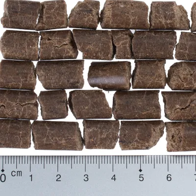 Prim-plan cu gustări cilindrice pentru câini, maro, lungime aproximativ 2-5 cm, prezentate lângă o riglă pentru indicarea dimensiunii.