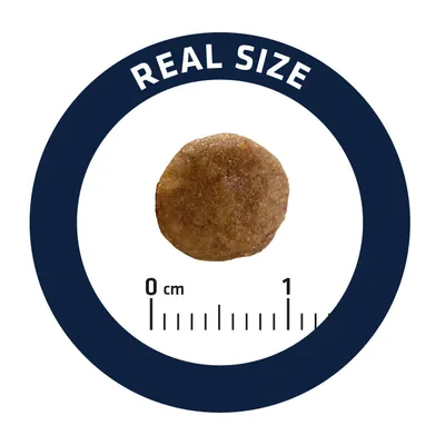 Гранула с реален размер, показана до скала в сантиметри от 0 до 1. Надпис: REAL SIZE.