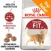 Royal Canin Regular Fit 32 Crocchette gatto