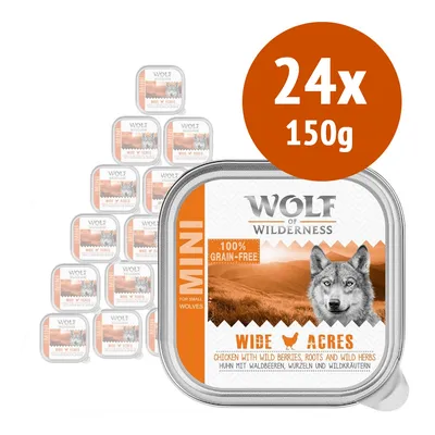 Wolf of Wilderness MINI Adult 24 x 150 g Alimento umido per cani