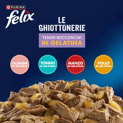 Maxi formato: Felix Le Ghiottonerie 120 x 85 g - Varietà di carne & pesce (Manzo, Salmone, Pollo, Tonno) Maxi formato: Felix Le Ghiottonerie 120 x 85 g - Varietà di carne & pesce (Manzo, Salmone, Pollo, Tonno)