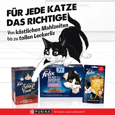 Jumbopack Felix "So gut wie es aussieht" Gelee 120 x 85 g - Senior (Rind, Lachs, Huhn, Thunfisch) Jumbopack Felix "So gut wie es aussieht" Gelee 120 x 85 g - Senior (Rind, Lachs, Huhn, Thunfisch)