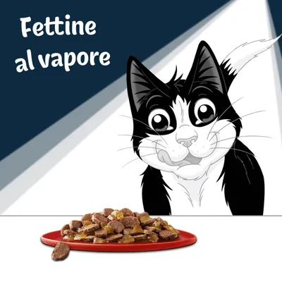 Fettine al vapore, testo visibile nell'immagine, con piatto di fettine di cibo per gatti e disegno di un gatto sullo sfondo.