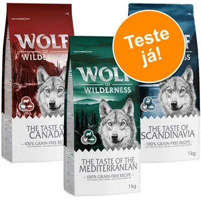 Três sacos de ração Wolf of Wilderness 1 kg: The Taste of Canada, The Taste of the Mediterranean e The Taste of Scandinavia. Texto em destaque: Teste já!
