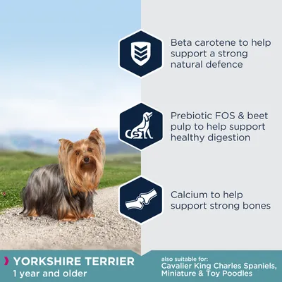 Beta carotene for natural defence, prebiotic FOS and beet pulp for healthy digestion, calcium for strong bones. For Yorkshire Terrier 1 year and older; also suitable for listed breeds.