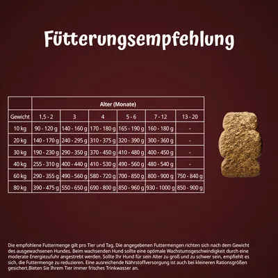 Fütterungsempfehlung für Hunde nach Gewicht und Alter. Tabelle zeigt empfohlene Gramm pro Tag für Gewichte von 10 kg bis 80 kg und Altersgruppen von 1,5 bis 20 Monaten.