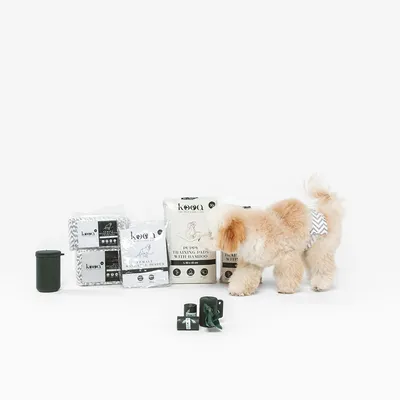 kooa Welpen-Trainingspads mit Bambus, Hundewindeln und Zubehör. Beige Hund trägt Windel. Produkte für Hygiene und Training sichtbar.