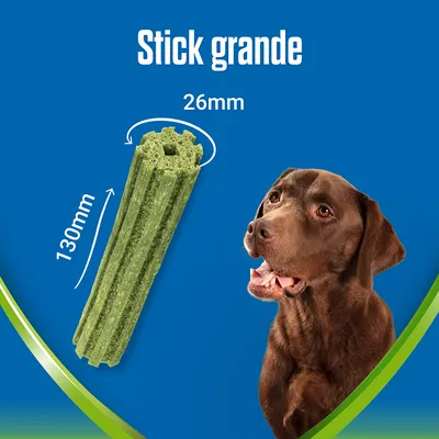 Stick grande para perro, longitud 130 mm y diámetro 26 mm, junto a un perro marrón. Texto visible: 'Stick grande', medidas indicadas en milímetros.