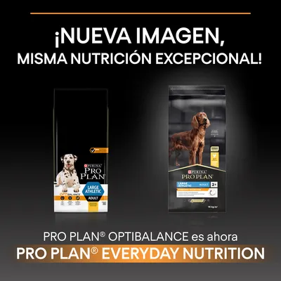 Imagen comparativa de dos envases de PURINA PRO PLAN Large Athletic Adult; anuncia el cambio de Optibalance a Everyday Nutrition con el texto: '¡Nueva imagen, misma nutrición excepcional!'.
