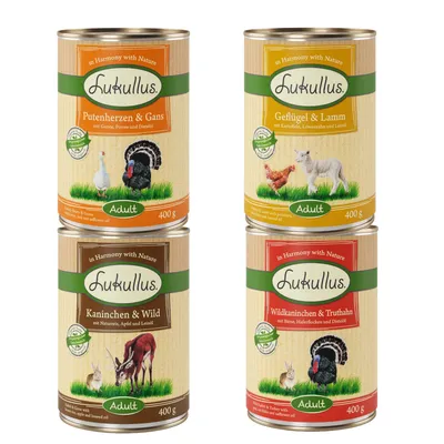 4 boîtes Lukullus 400 g pour chien adulte : Putenherzen & Gans, Geflügel & Lamm, Kaninchen & Wild, Wildkaninchen & Truthahn. Textes en allemand visibles sur les étiquettes.